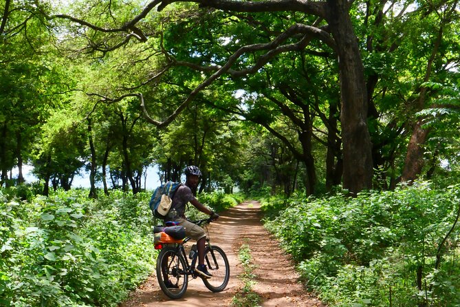 Cycling through the TPC plantations - Small villages and the countryside around Moshi