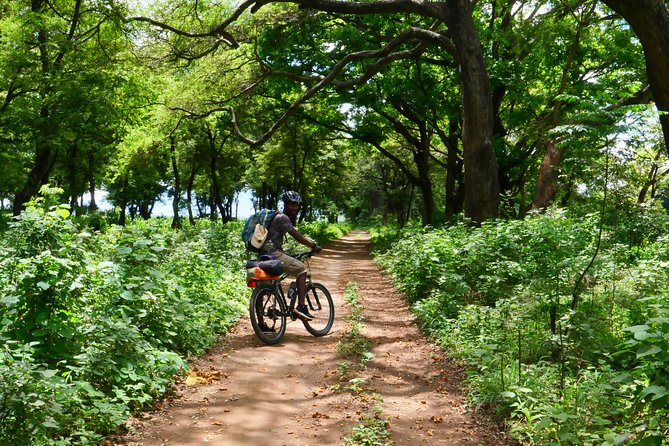 Cycling through the TPC plantations - How much value do you get for $66.67?