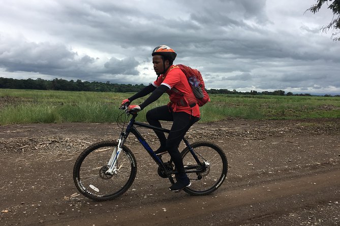 Cycling through the TPC plantations - Kilimanjaro views without the mountain climb