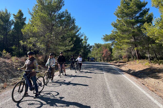 Cycling Through Vineyards & Farm Lunch & Ephesus visit - Village roads through Gökçealan and Kirazlı
