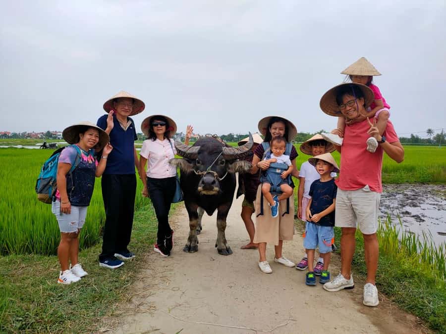 Cycling, Water Buffalo Riding, Traditional Farming Life - Who should book this Cam Thanh experience?
