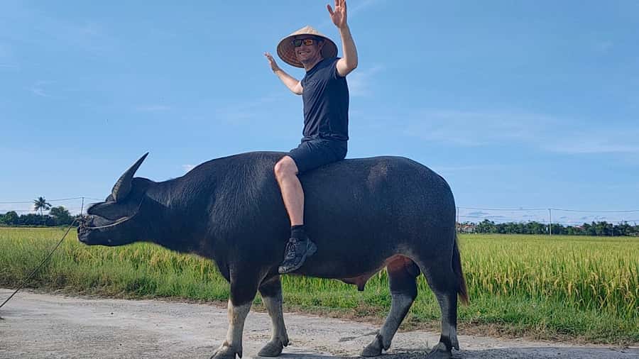 Cycling, Water Buffalo Riding, Traditional Farming Life - From Hoi An lanes to Cam Thanh rice fields