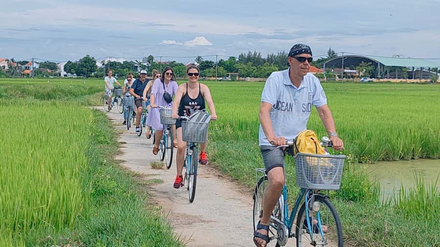 Cycling, Water Buffalo Riding, Traditional Farming Life - Getting your hands dirty in a working rice field
