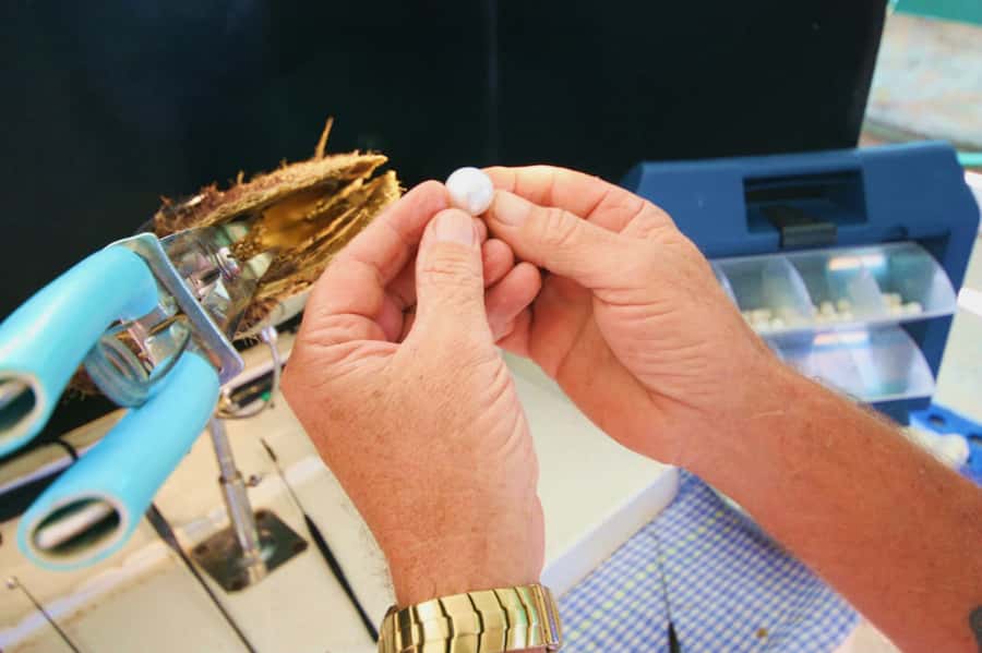 Cygnet Bay Pearl Farm Behind-the-Scenes Tour & Live Harvest - Key points to know before you book