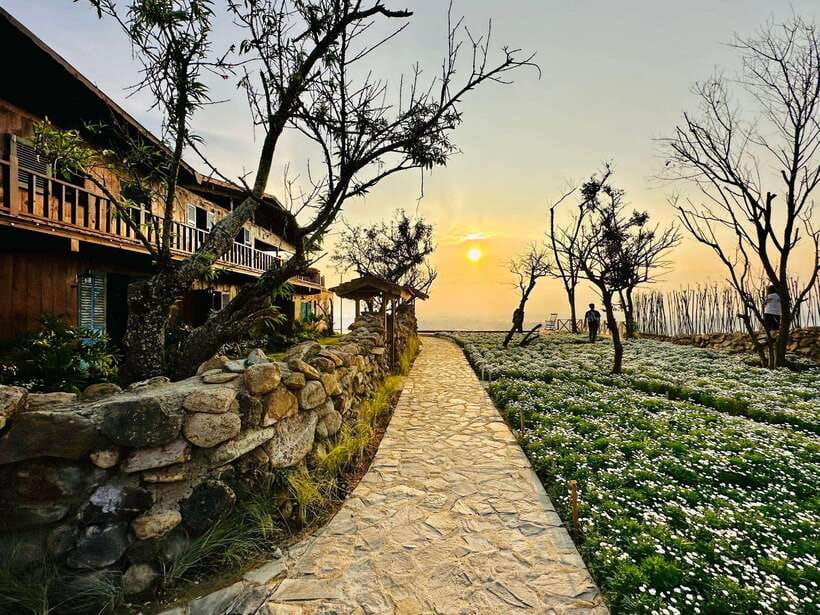 Da Lat: Sunrise Panorama, Green Tea Hill and Strawberry Farm - Walking through Cau Dat Green Tea Hill