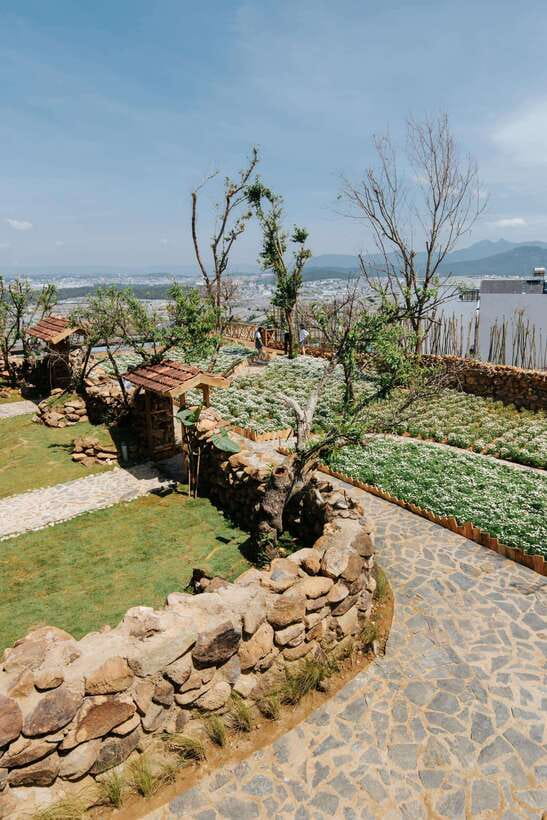 Da Lat: Sunrise Panorama, Green Tea Hill and Strawberry Farm - Japanese-style persimmon drying