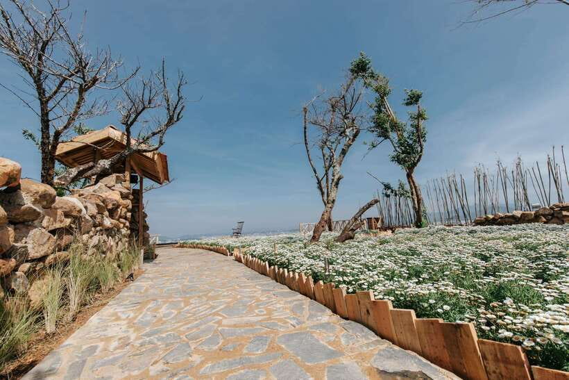 Da Lat: Sunrise Panorama, Green Tea Hill and Strawberry Farm - What the $26 price really covers