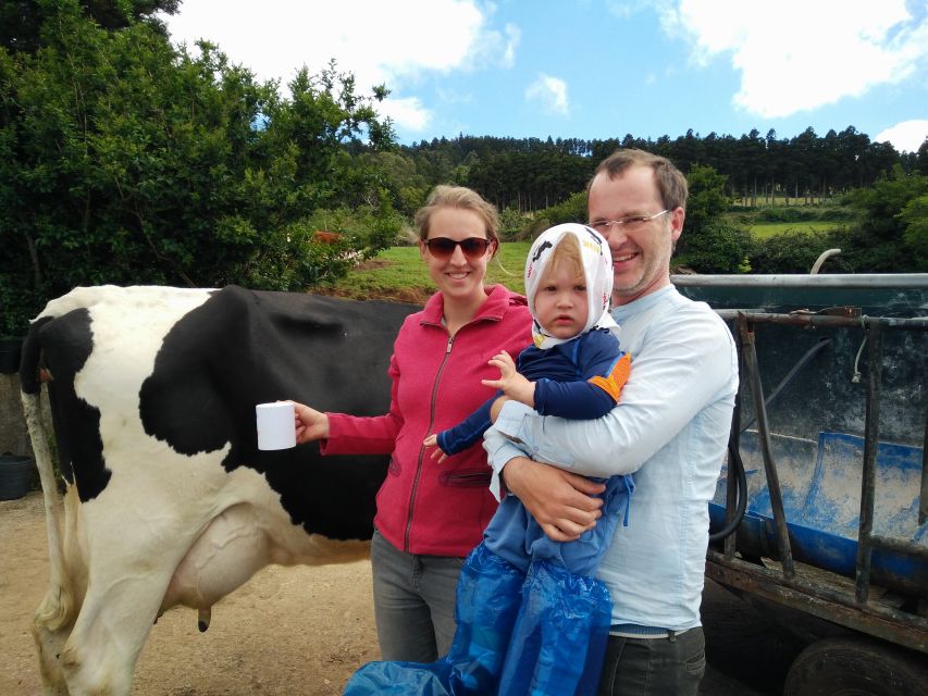 Dairy farm Visit and Cow Milking Experience in Azores - Who should book this experience