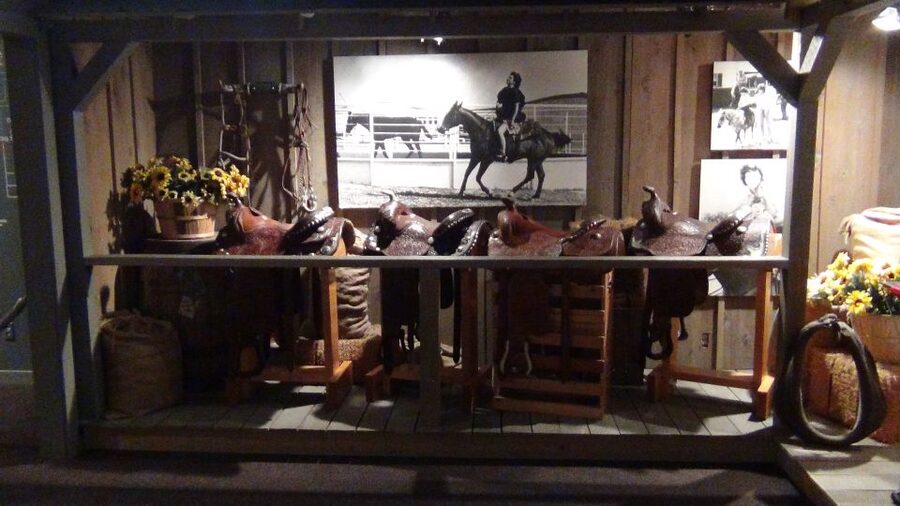 Dallas: Southfork Ranch, Dallas Highlights, and JFK Tour - Riding out to Southfork Ranch