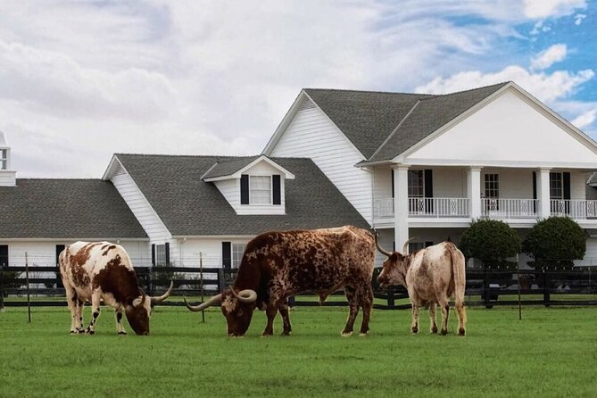 Dallas Southfork Ranch Private Limousine Tour - Timing, Extra Costs, and Practical Value