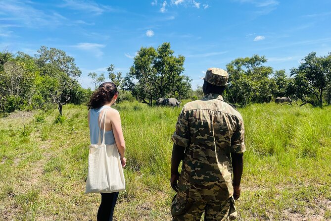 Day Tour Of Ziwa Rhino Sanctuary and Wildlife Ranch - ZIWA RHINO TREKKING - The drive from Kampala and the meeting point