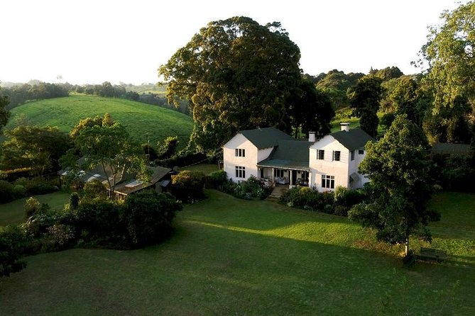 Day Tour To Kiambethu Tea Farm in Limuru - Gardens, birds, and a slower pace