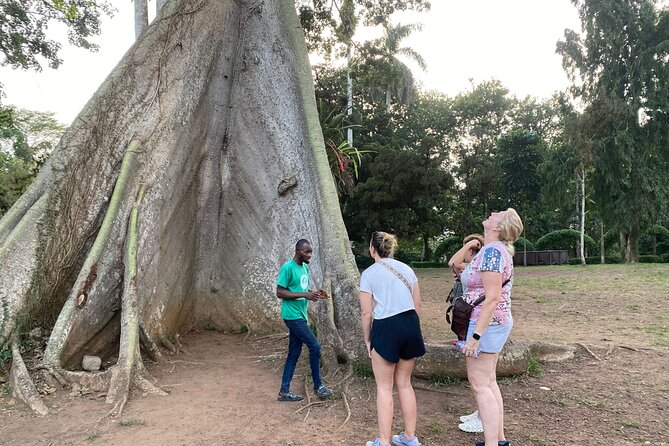 Day Trip Near Accra - Visit Aburi Gardens, Waterfall & Cocoa Farm - Key points to know before you book