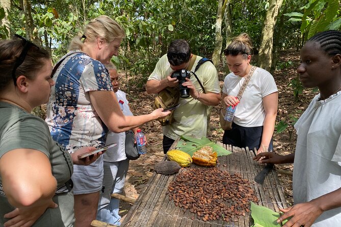 Day Trip Near Accra - Visit Aburi Gardens, Waterfall & Cocoa Farm - Tetteh Quarshie Cocoa Farm and Ghana’s first cocoa story