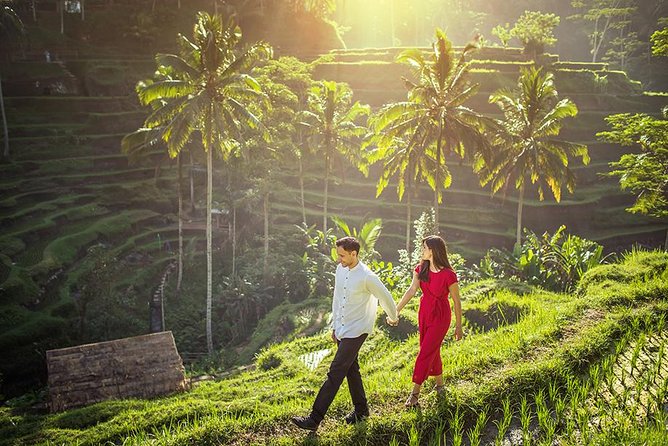Day Trip: Ubud Monkey Forest, Rice Terrace, Temple and Waterfall - What $37 includes, and what it does not