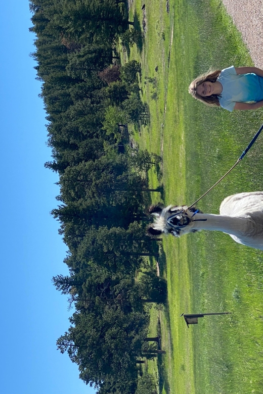 Denver: Llama Hike in the Rocky Mountains - Why the Private Format Matters
