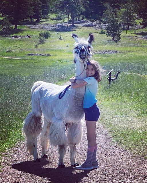 Denver: Llama Hike in the Rocky Mountains - The Photo Opportunity Without the Hard Hike