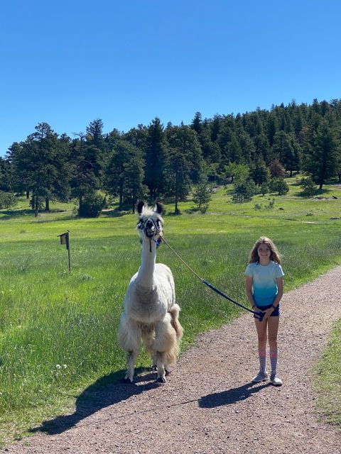 Denver: Llama Hike in the Rocky Mountains - Who Should Book This Hike