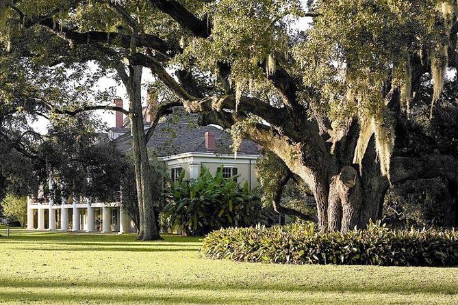 Destrehan Plantation and Swamp Tour from New Orleans - A quiet covered boat through Louisiana wetlands