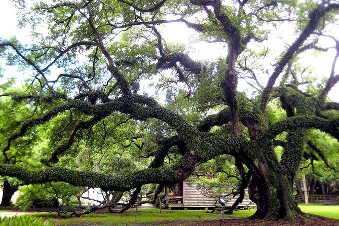 Destrehan Plantation Tour - Should you book it?