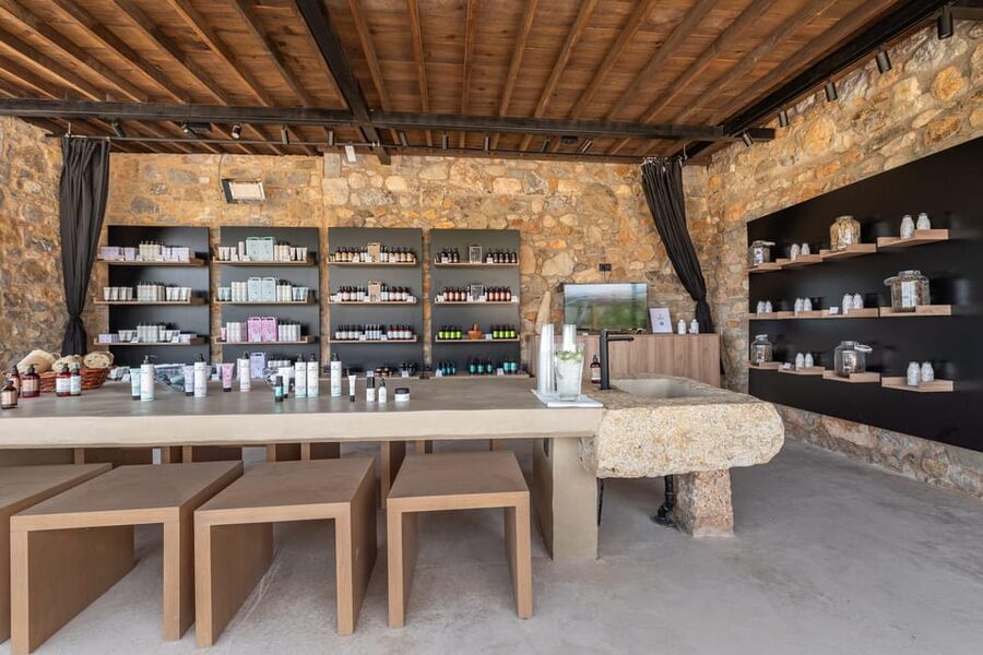 Discover Aloe: A Farm Walk & Workshop - A balanced look at the farm walk and workshop