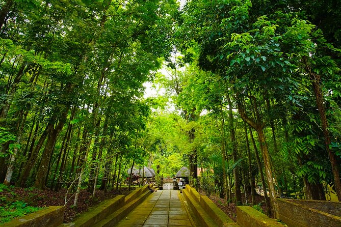 Discover Hidden Waterfall, Unesco Rice Terraces and Mountain Temple - Should you book it?