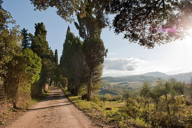 Discover Montepulciano: Cinta Senese Pigs, Lunch & wine in a Farm - A Tuscan lunch at the wooden table