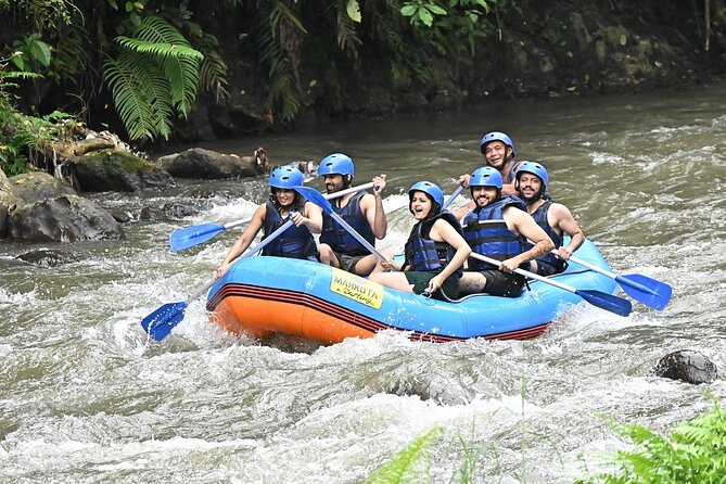 Discover Ubud Waterfall Swing Rice Terrace and Monkey Forest - A big Bali sampler in one private day