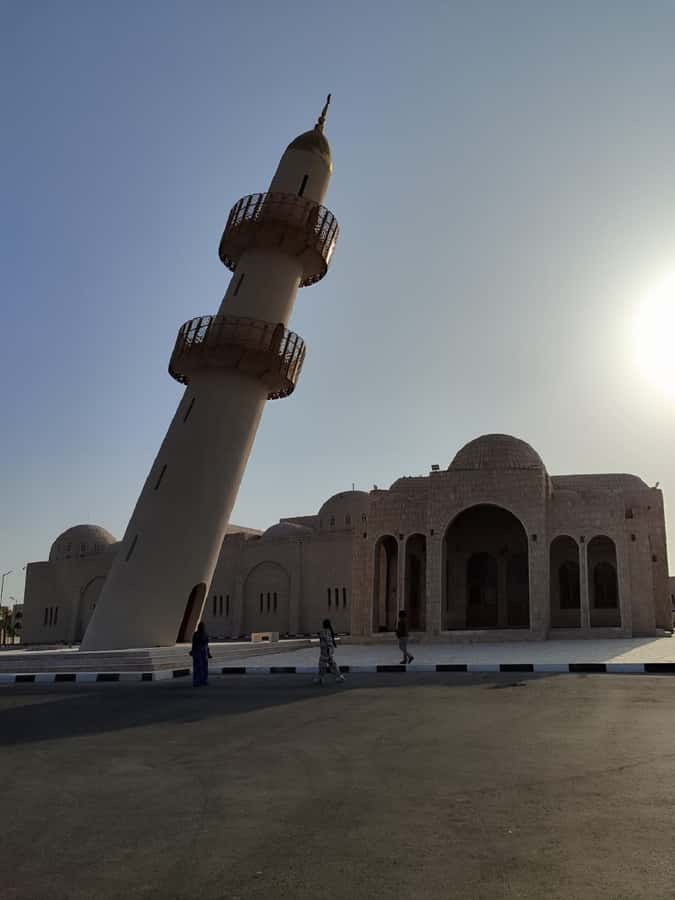 Doha Camel Racing Track: Oryx Farm & Sheikh Faisal Museum. - Who should book this experience?