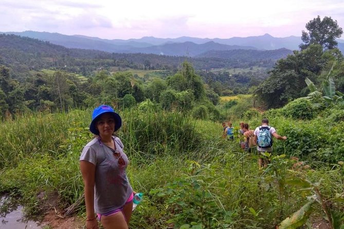 Doi Inthanon Day Trip:Twin Pagodas,Soft Hiking,Coffee Plantation - Why Doi Inthanon makes a good day trip from Chiang Mai