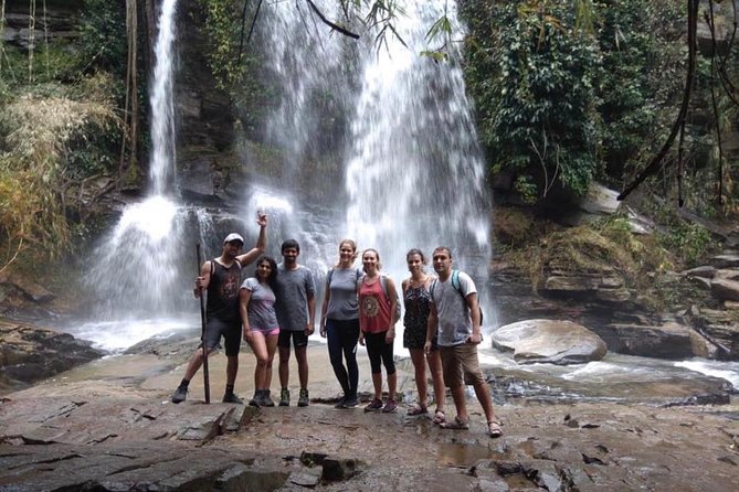 Doi Inthanon Day Trip:Twin Pagodas,Soft Hiking,Coffee Plantation - Kew Mae Pan and the reality of soft hiking