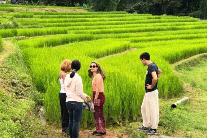 Doi Inthanon Day Trip:Twin Pagodas,Soft Hiking,Coffee Plantation - Hilltribe villages and the Hmong market