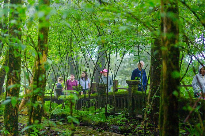 Doi Inthanon Waterfalls Rice Fields Tour from Chiang Mai - Wachirathan and Mae Klang waterfalls