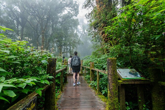 Doi Inthanon Waterfalls Rice Fields Tour from Chiang Mai - Ban Mae Klang Luang and the rice terraces