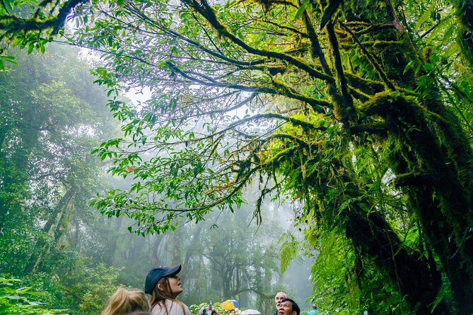Doi Inthanon Waterfalls Rice Fields Tour from Chiang Mai - What the price really includes