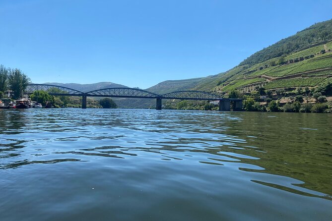 Douro Valley Private Tour: 2 Farms, Lunch & Boat Trip - The second farm, with olive oil and honey