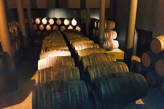 Douro Valley Private Tour: 2 Farms, Lunch & Boat Trip - What the $264.64 price includes