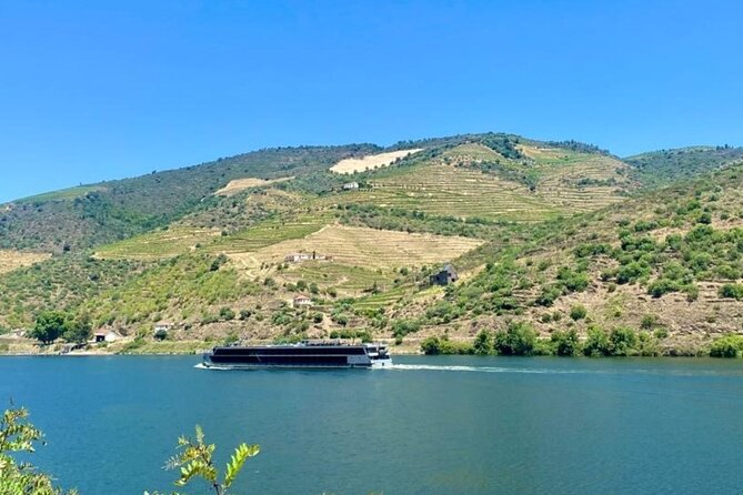 Douro Valley Private Tour: 2 Farms, Lunch & Boat Trip - Seeing the Douro from the river