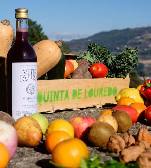 Douro Valley: Traditional Cooking Class, Farm Tour and Lunch - Starting with cheese, bread, wine, and farm-made treats