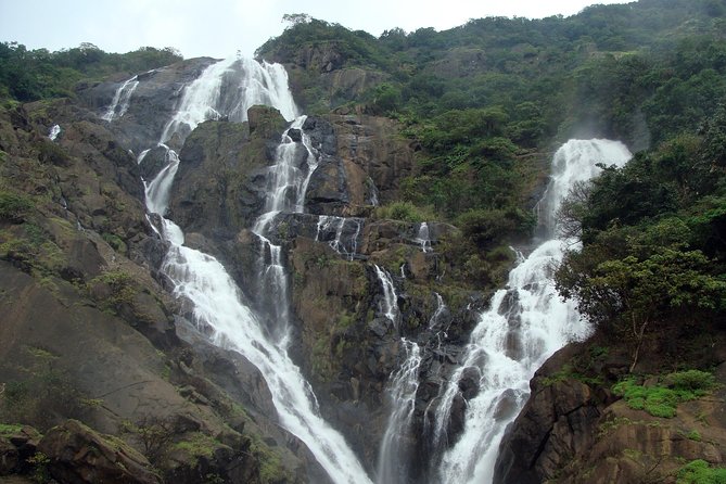 Dudhsagar waterfall wildlife & spice plantation Tour in Goa - A fragrant walk through the spice plantation