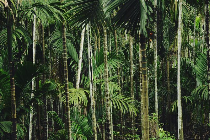 Dudhsagar waterfall wildlife & spice plantation Tour in Goa - How private is this private tour?