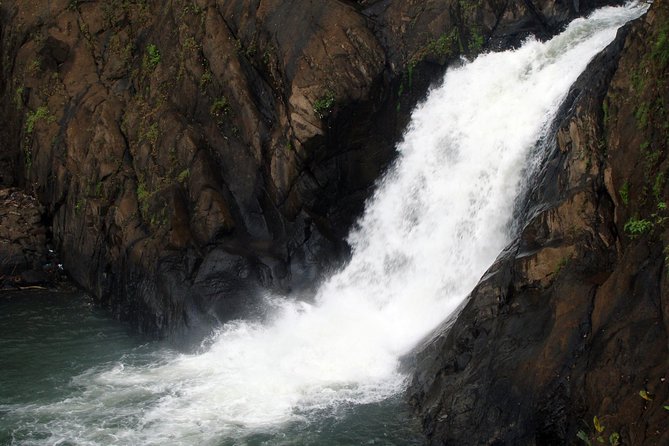 Dudhsagar waterfall wildlife & spice plantation Tour in Goa - The rough ride to Dudhsagar Falls