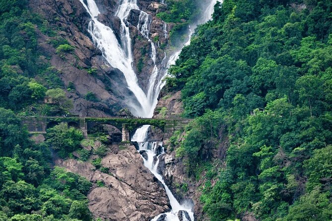 Dudhsagar Waterfalls, Jeep Safari & Spice Plantation private tour - A long Goa day built around Dudhsagar Falls
