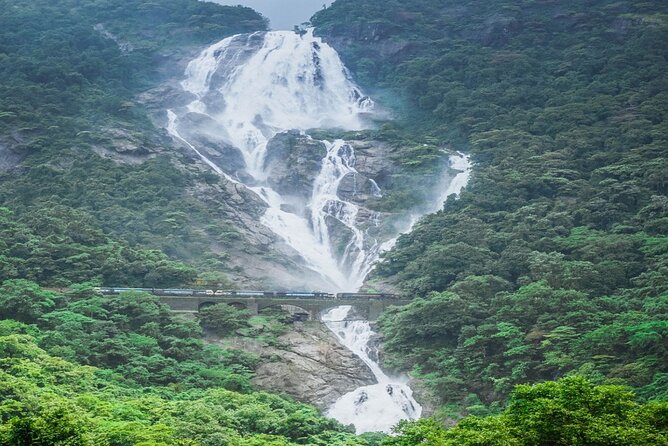 Dudhsagar Waterfalls, Jeep Safari & Spice Plantation private tour - Who will get the most from this outing