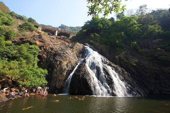Dudhsagar Waterfalls, Jeep Safari & Spice Plantation private tour - The jeep ride into Mollem National Park