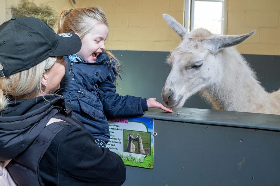 Durham: Adventure Valley Farm Park Entry Ticket - Key points for planning your day