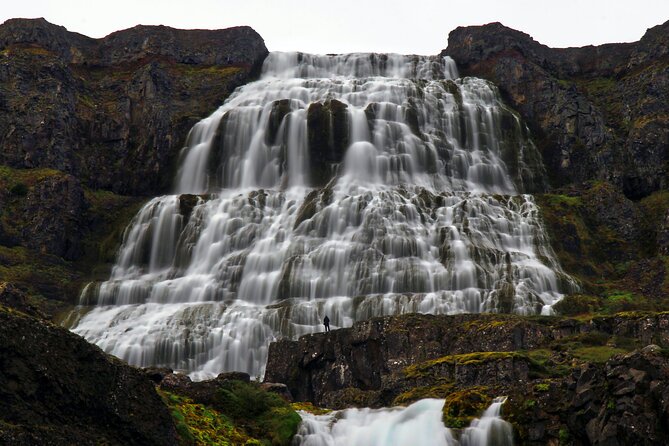 Dynjandi Waterfall & Iceland Farm Visit Tour - Gemlufell Farm near Thingeyri