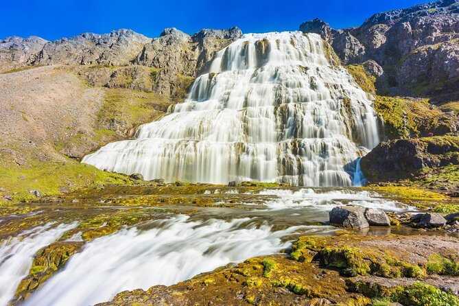 Dynjandi Waterfall & Iceland Farm Visit Tour - What the guide adds to the day