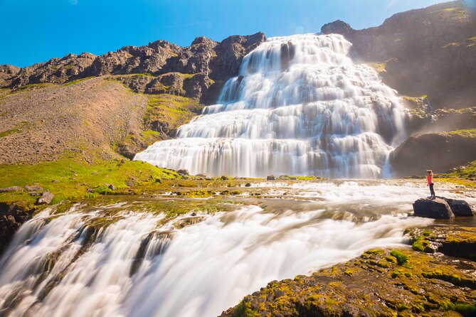 Dynjandi Waterfall & Iceland Farm Visit Tour - Who should take this tour?