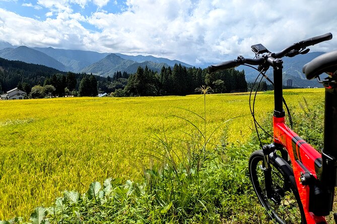 E Bike in Yuzawa Mountain Views Lake Daigenta and Rice Terraces - The electric bicycle and the effort level